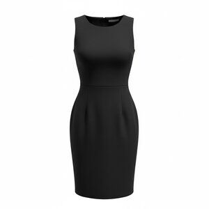 Petite Sophisticate Size 4P Black Sleeveless Round Neck Lined Sheath Dress